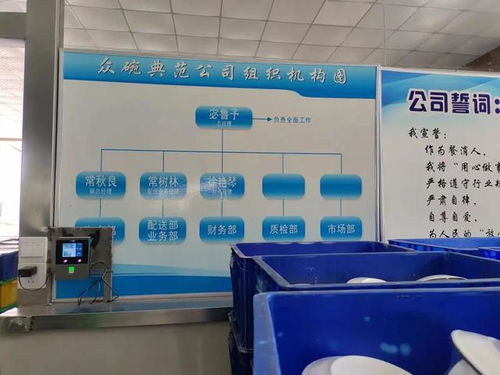 水上樂園的暗面與洗碗女工的悲歌 消費光鮮背后的社會代價